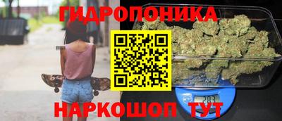 гидра Славянск-на-Кубани