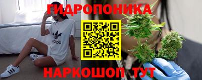 герыч Сланцы