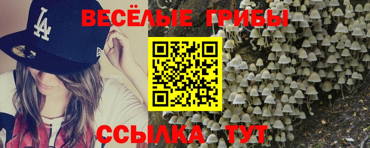 Галлюциногенные грибы GOLDEN TEACHER Ногинск