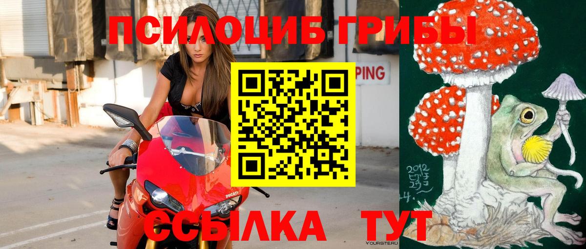 Галлюциногенные грибы GOLDEN TEACHER  Вход с VPN  Ногинск 